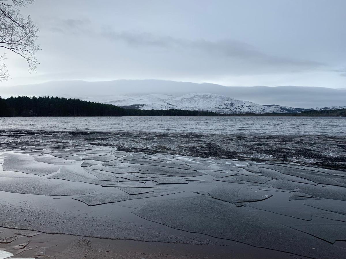 The One - Chalet In The Cairngorms ボート・オブ・ガーテン エクステリア 写真