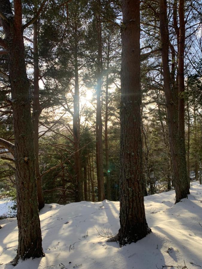 The One - Chalet In The Cairngorms ボート・オブ・ガーテン エクステリア 写真